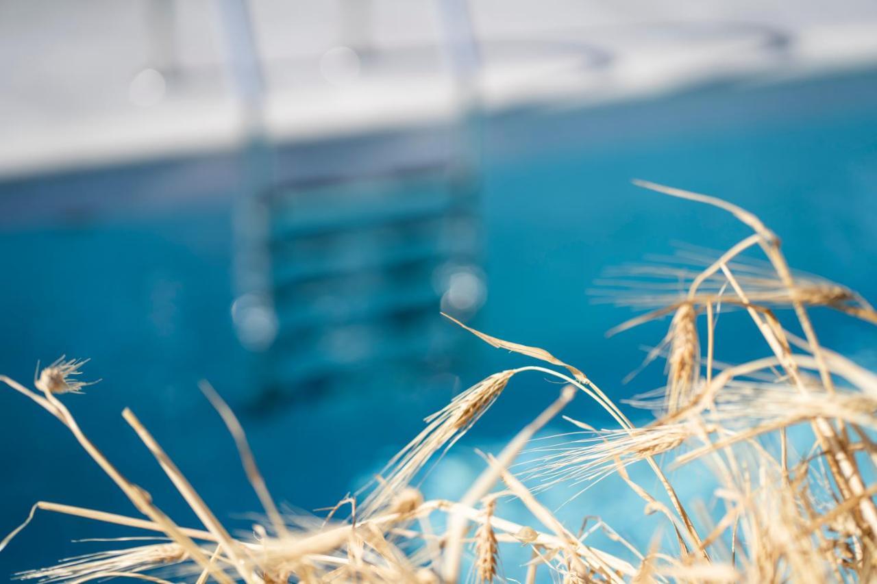 Santa Marina Syros Villa Liaropa Bagian luar foto