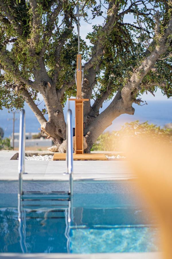 Santa Marina Syros Villa Liaropa Bagian luar foto